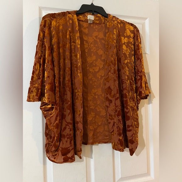 Tops - Women’s cover up- burnt orange